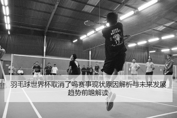 羽毛球世界杯取消了吗赛事现状原因解析与未来发展趋势前瞻解读
