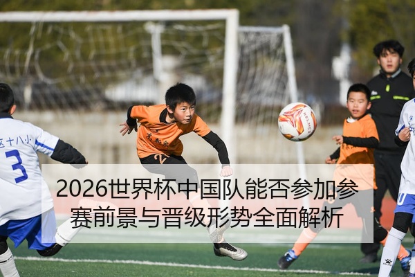 2026世界杯中国队能否参加参赛前景与晋级形势全面解析