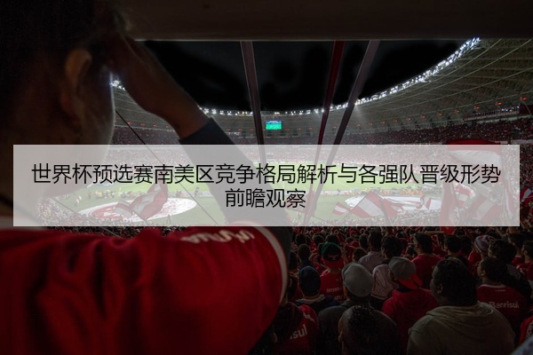 世界杯预选赛南美区竞争格局解析与各强队晋级形势前瞻观察