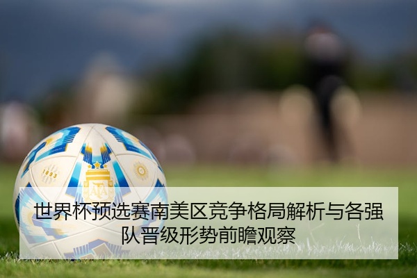 世界杯预选赛南美区竞争格局解析与各强队晋级形势前瞻观察